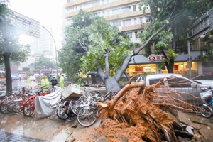 ���ֺ��R ������늾W�cٝ