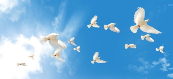 �����еġ�����ʽ������