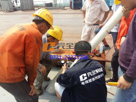 斜拉鎖橋常見拉索的病害及處理新方案