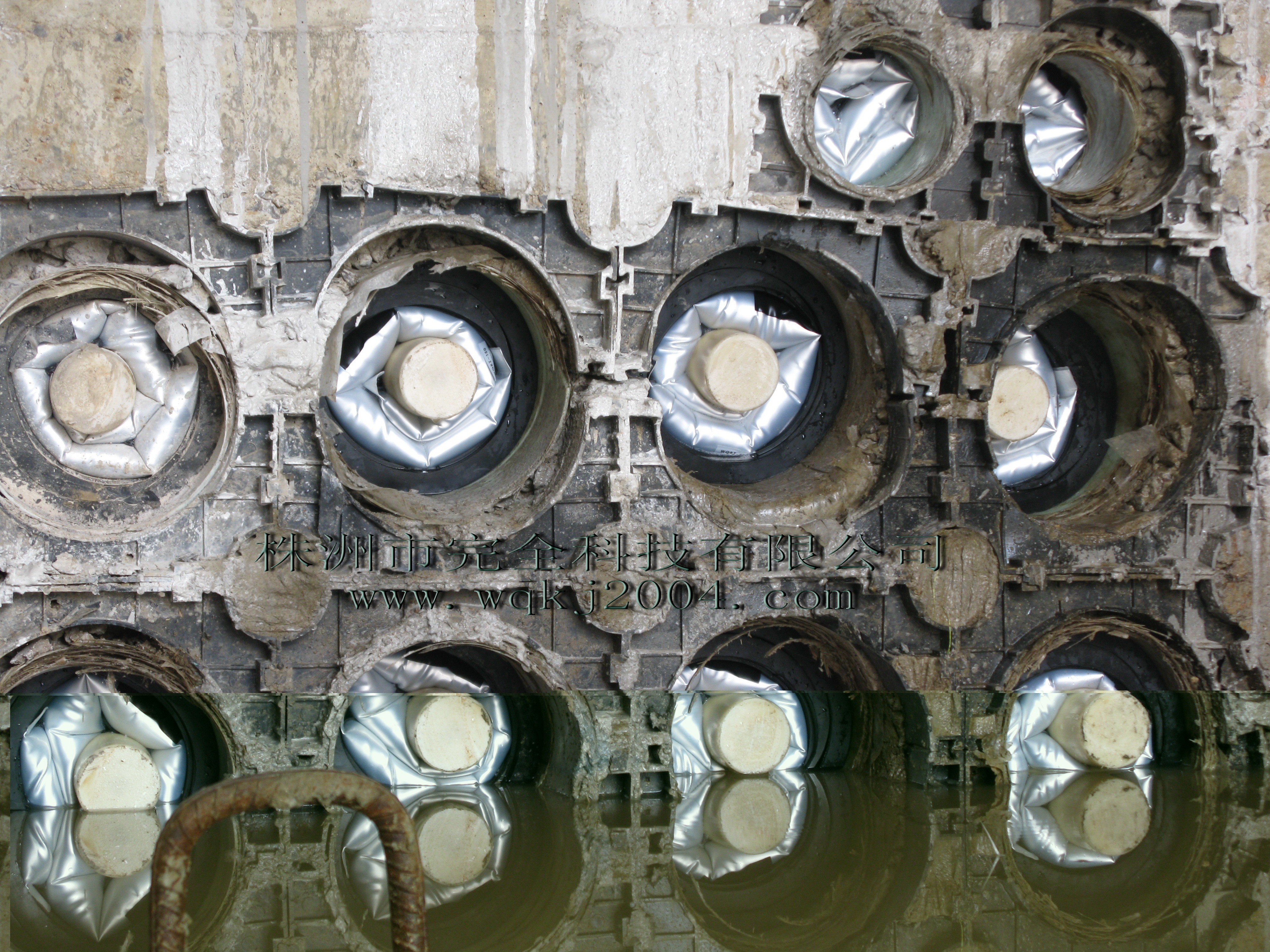 ����������ܷ�¬F(xi��n)؛