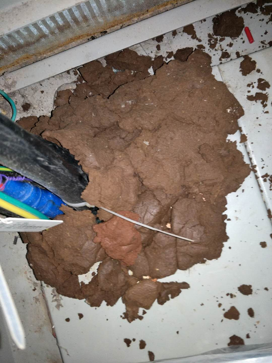 選防火泥封堵電力管道能防鼠嗎