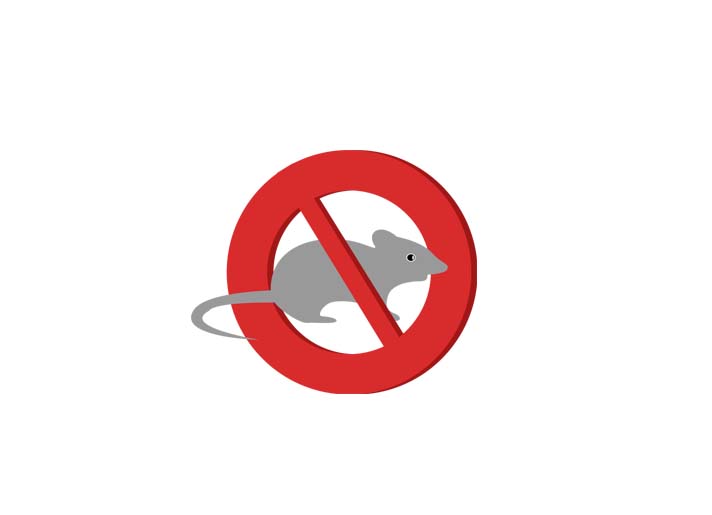 選防火泥封堵電力管道能防鼠嗎